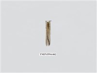 藏品(蟻蛉70)的圖片